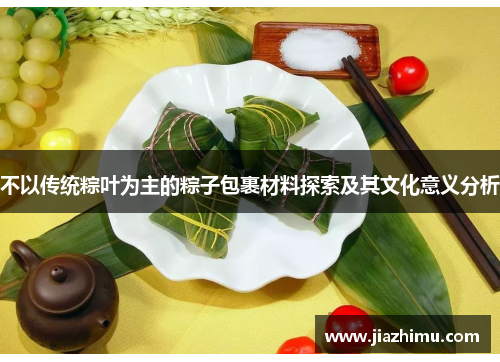 不以传统粽叶为主的粽子包裹材料探索及其文化意义分析