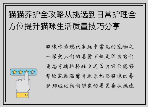 猫猫养护全攻略从挑选到日常护理全方位提升猫咪生活质量技巧分享