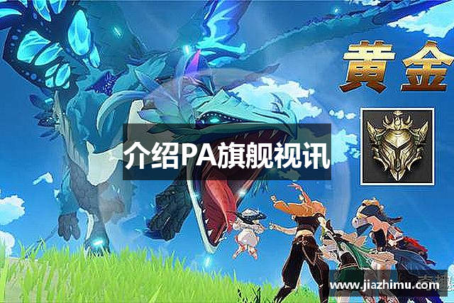 介绍PA旗舰视讯